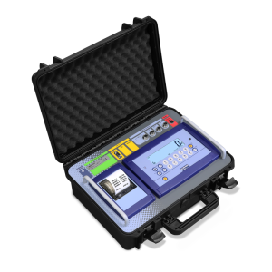 DFWKRP Vehicle Weighing Indicator